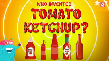 Invention of Ketchup | The Thick and Tangy History of Ketchup | Origins of Ketchup | Dr. Binocs Show