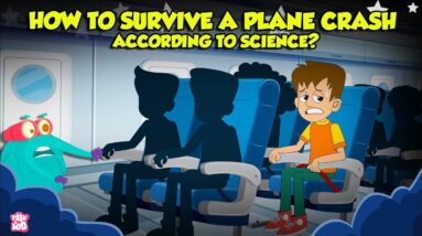 Airplane Safety Instructions | How to Survive Plane Crash? | Air Disasters Tips | Dr. Binocs Show