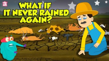 What If It Never Rained Again?। Can We Survive Without Water? | Why Rain is Important? | Dr. Binocs