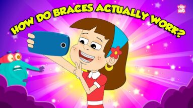 How Do Braces Work? | How Teeth Aligners Work? | Orthodontic Treatment | The Dr. Binocs Show