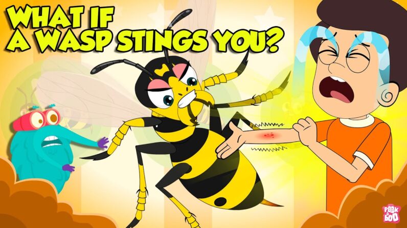 Are Wasp Stings Dangerous? | What if a Wasp Stings You? | How to Treat a Wasp Sting? | Dr. Binocs